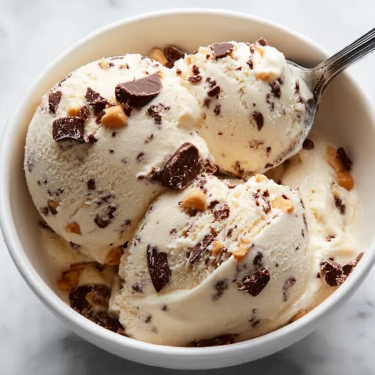 Moose Tracks Protein Ice Cream Recipe